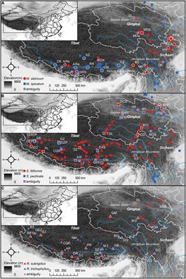 Extensive Sympatry and Frequent Hybridization of Ecologically Divergent Aquatic Plants on the Qinghai-Tibetan Plateau